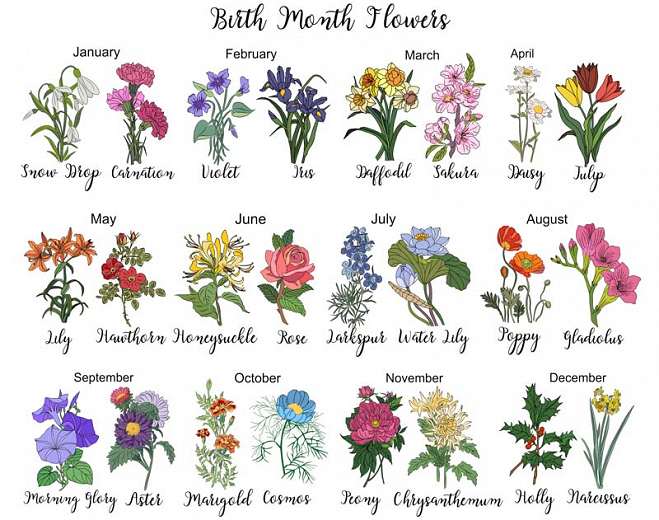 Birth Flower Poster Birth Flower Tattoos, Birth Flowers, October Birth ...