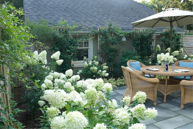 hydrangea landscape designs