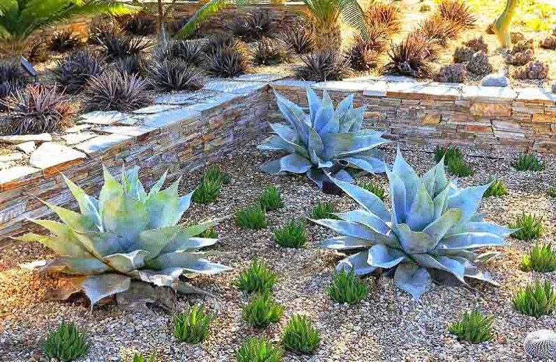 A Simple and Low-Care Mediterranean Border