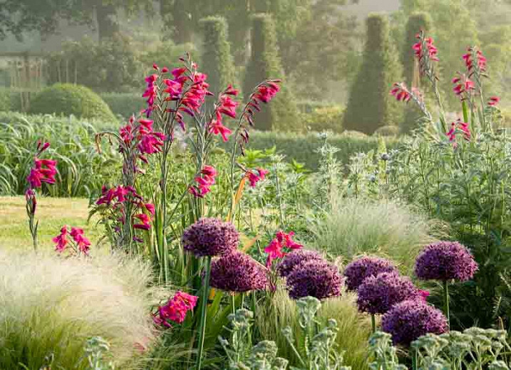 Stunning Companion Plants For Mexican Feather Grass ...