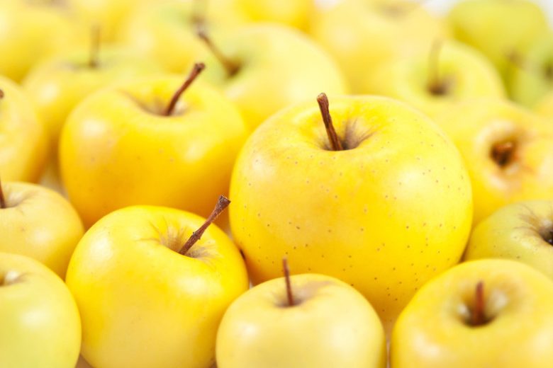 Yellow Delicious Apple