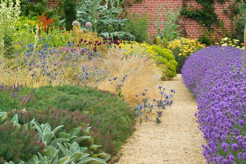 A Fragrant and Colorful Summer Border Idea