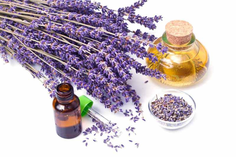 8 Ways to Use Lavender Essential Oil for Skin: Soothe, Protect