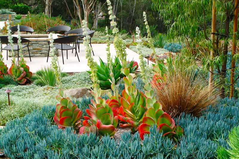 A Long-Lasting and Colorful Front Garden