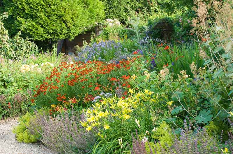 A Cheerful Summer Border Idea with Easy-to-Grow Perennials