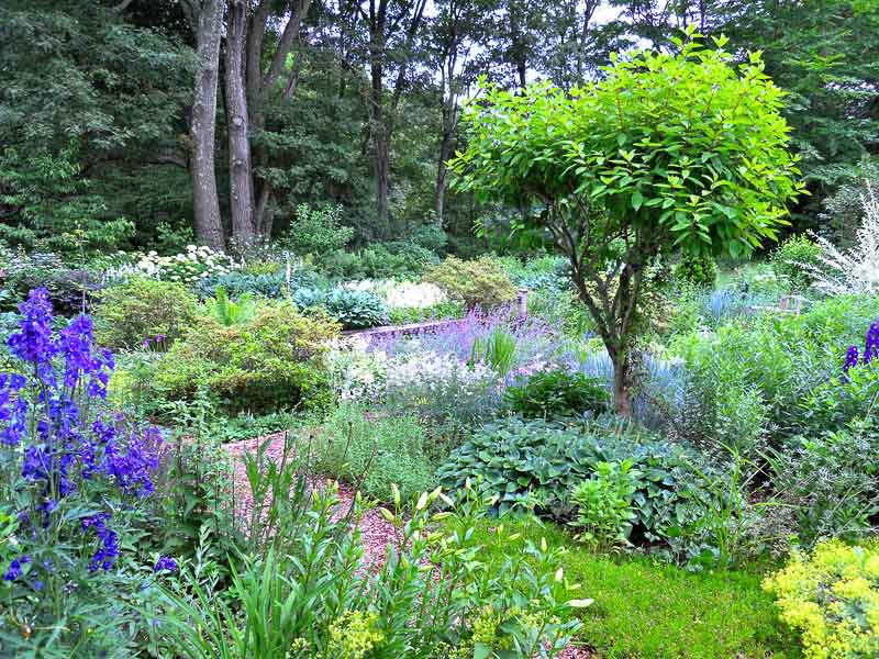 A White and Blue Garden - Andrew Grossman