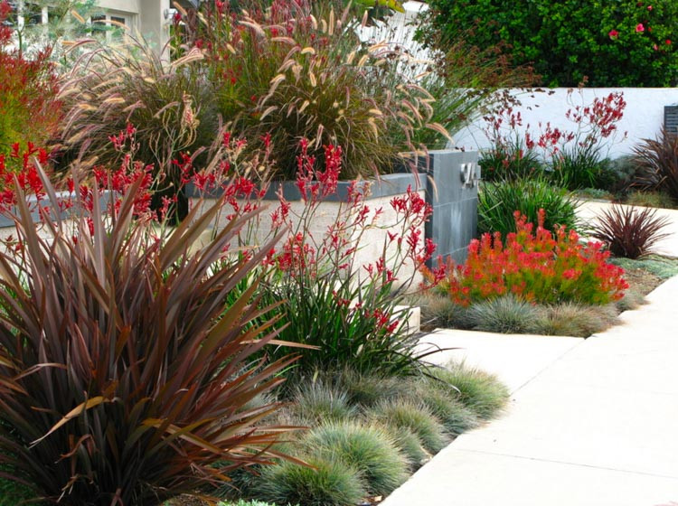 An Elegant Front Garden - Debora Carl Landscape Design