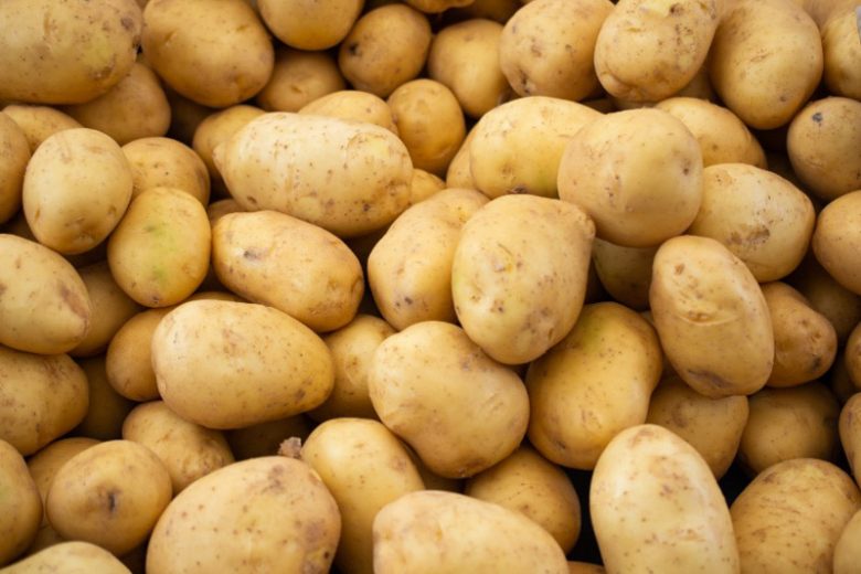 White Potato Varieties & White Potato Products California